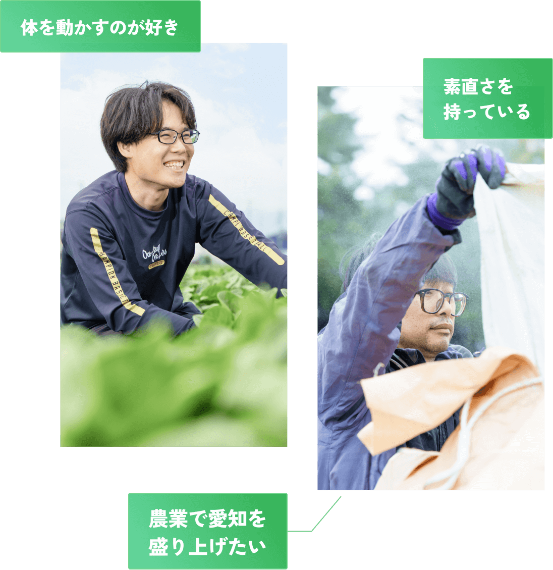 身体を動かすのが好き、素直さを持っている、農業で愛知を盛り上げたい