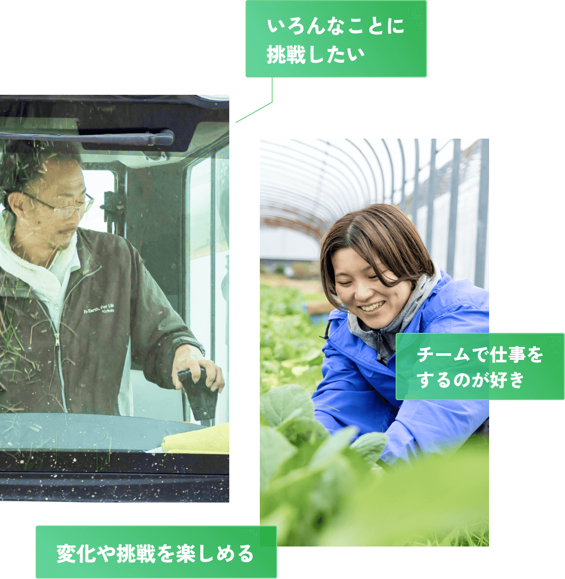 いろんなことに挑戦したい、チームで仕事をするのが好き、変化や朝鮮を楽しめる