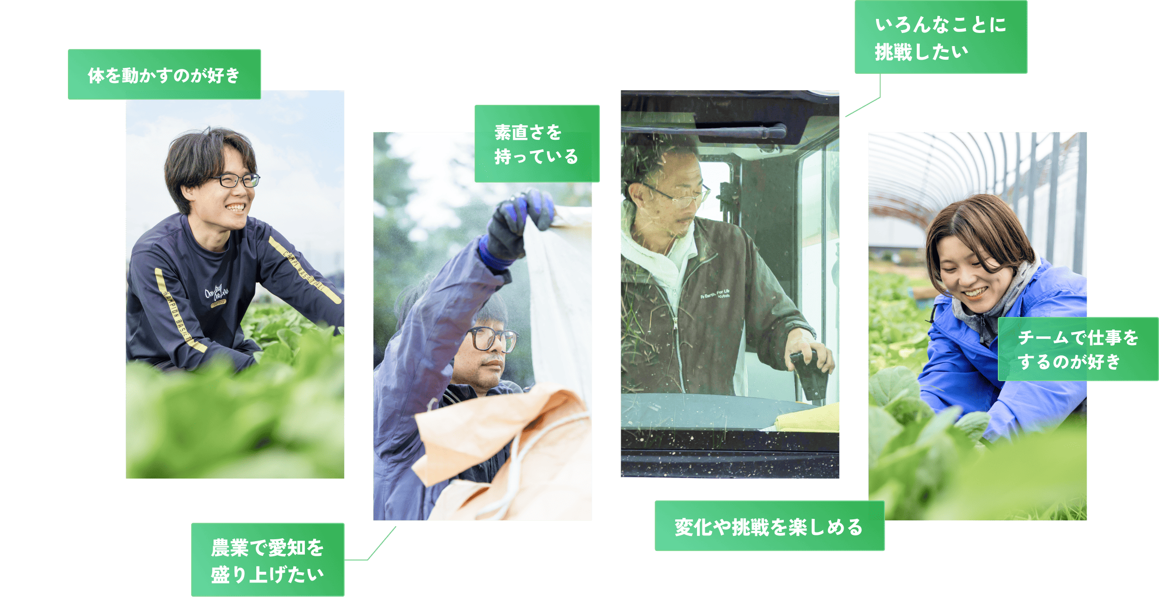 身体を動かすのが好き、素直さを持っている、農業で愛知を盛り上げたい、いろんなことに挑戦したい、チームで仕事をするのが好き、変化や朝鮮を楽しめる